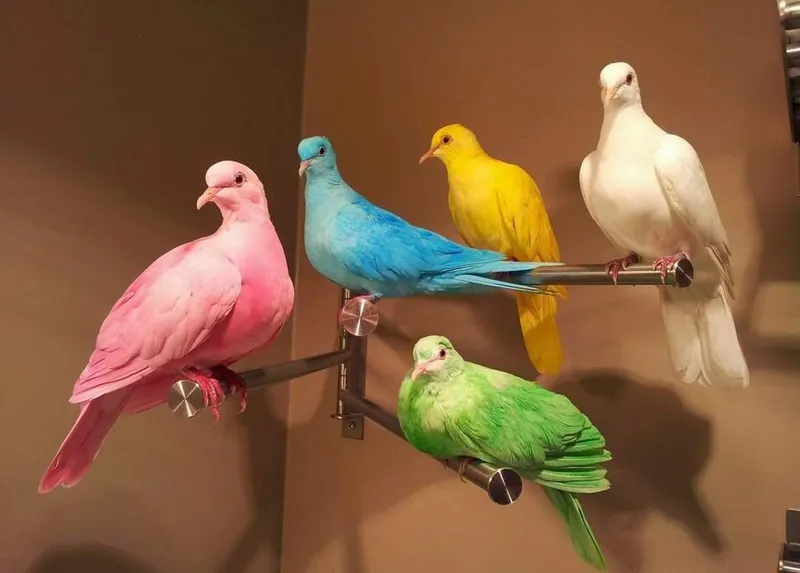Liz, Lance, Fred, Snow & Sara